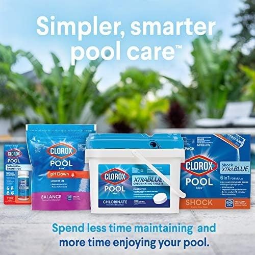 1 Quart Swimming Pool Metal & Stain Control H665781