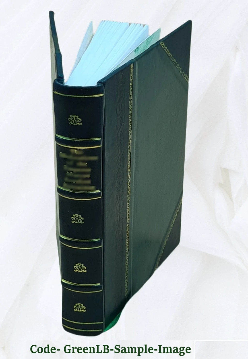 Leather Bound Book L43636