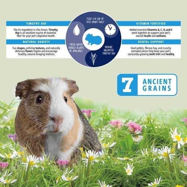 Guinea Pig Food S821501