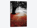 Autumn Contrast Canvas Art R279312