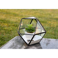 Black Geometric Terrarium J9200