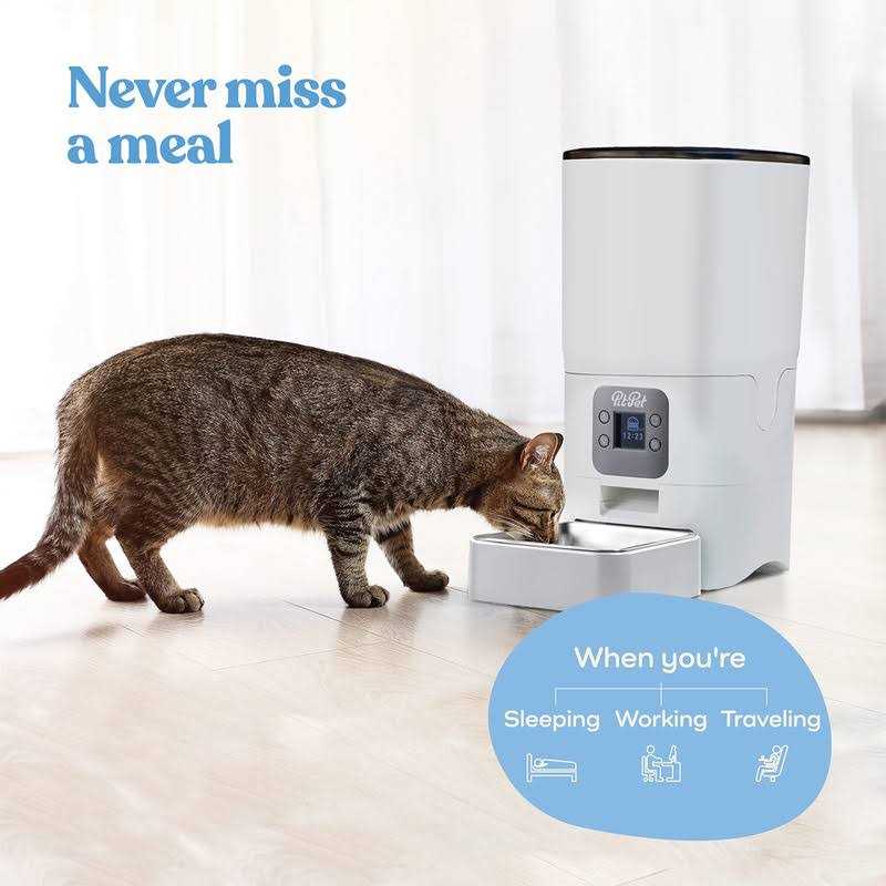 Automatic Cat Feeder 6-L with LCD Screen L9844