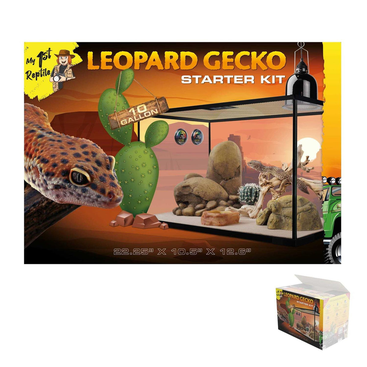 Leopard Gecko Reptile Starter Kit L73713