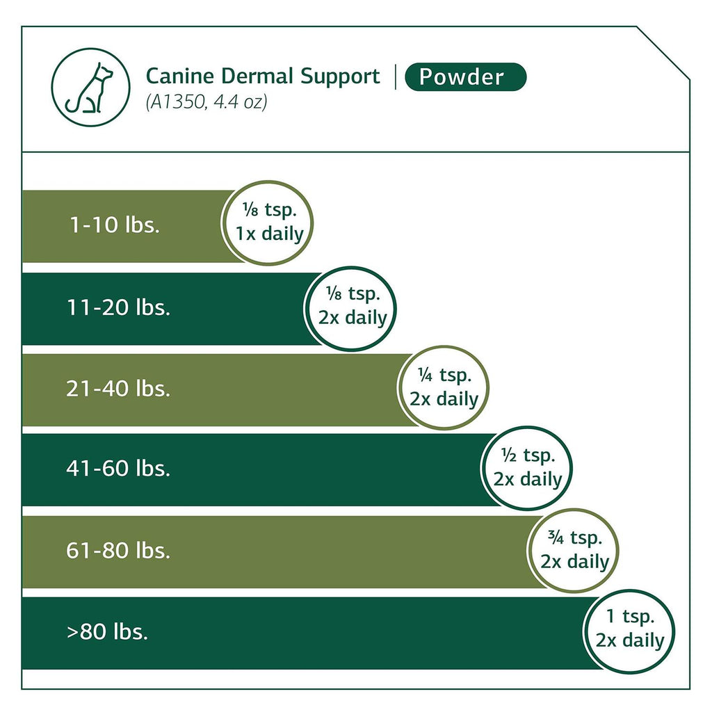 Dermal Support C50677