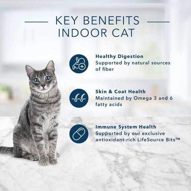 Adult Dry Cat Food Brown Rice P290