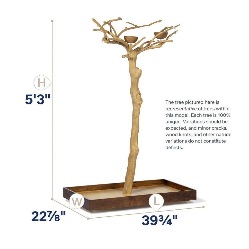 Coffeawood Tree Floor Stand Q2823