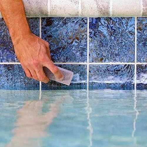 1 Quart Swimming Pool Metal & Stain Control H665781