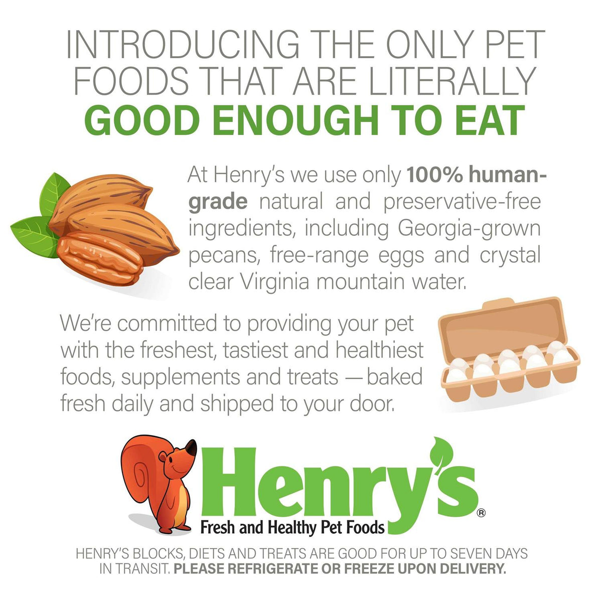 Nutritionally Complete Food for Squirrels, Flying Squirrels, and Chipmunks E985325