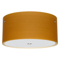 Satin Nickel Flush Mount Light E631