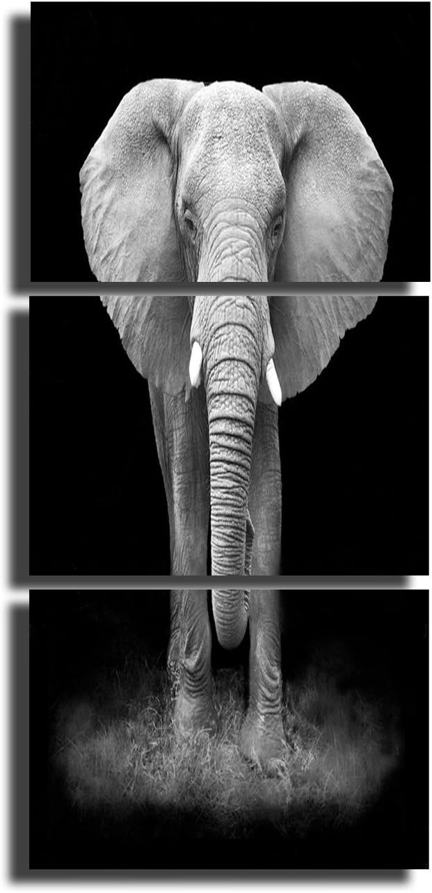 5 Piece Black Canvas Wall Art Safari Artwork Framed Ready to Hang Posters and Prints C3757