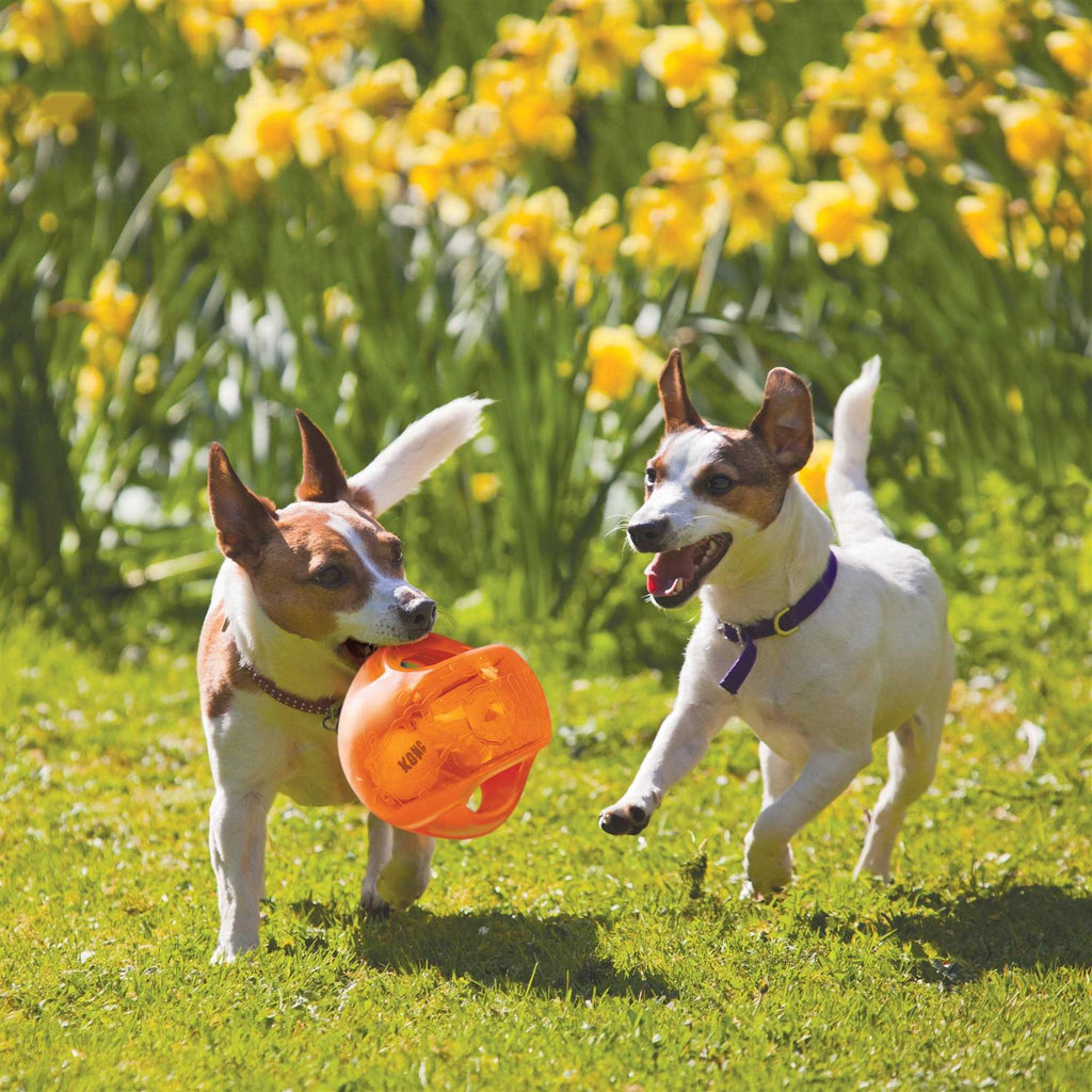 Jumbler Ball Dog Toy J575