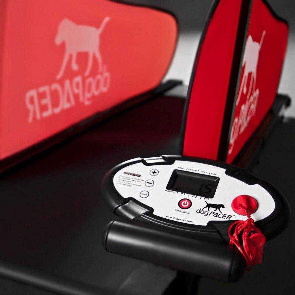 Dog Treadmill U64955
