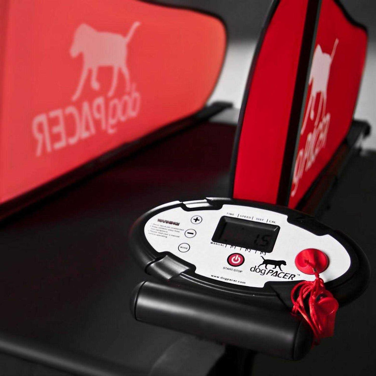 Dog Treadmill U64955