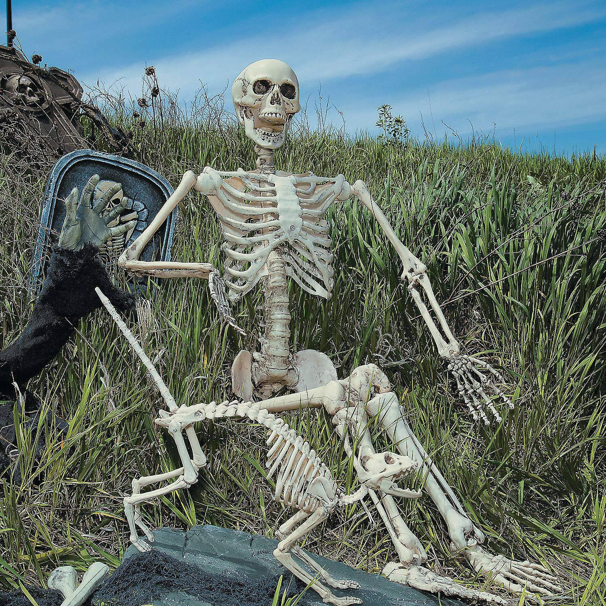 Posable Skeleton Halloween Decoration J380