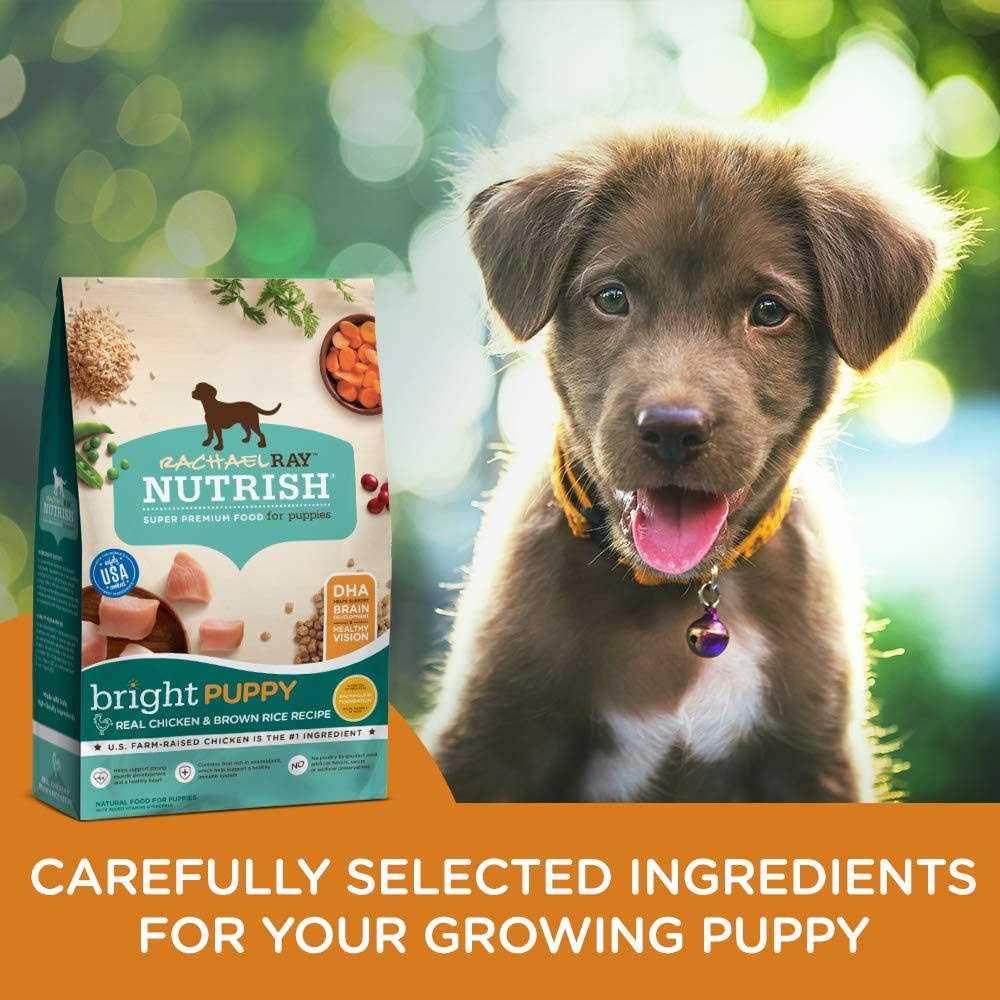 Real Chicken & Brown Rice Puppy Dry Dog Food K280345