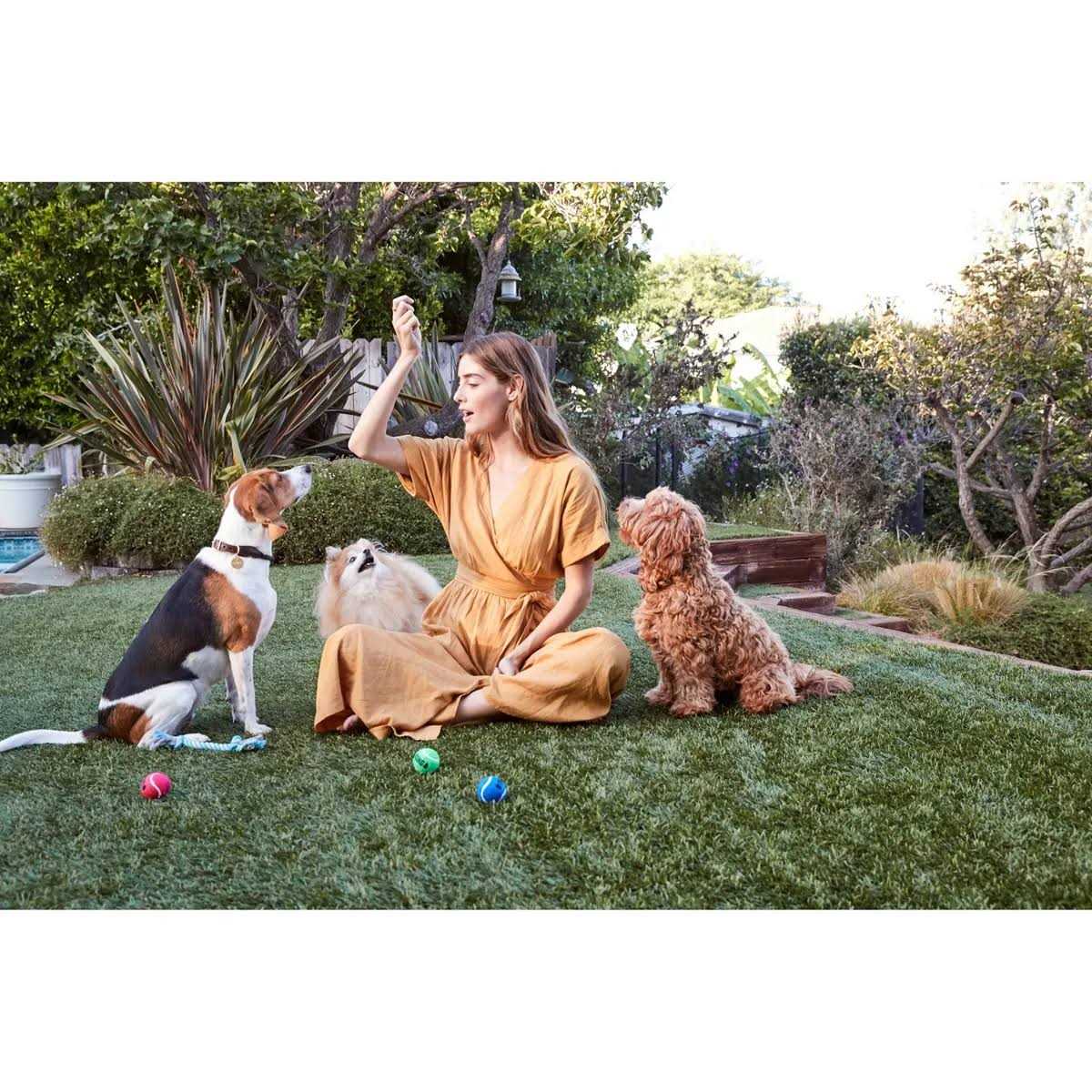 USDA Organic Chicken Dog Treats 175 Treats Y665