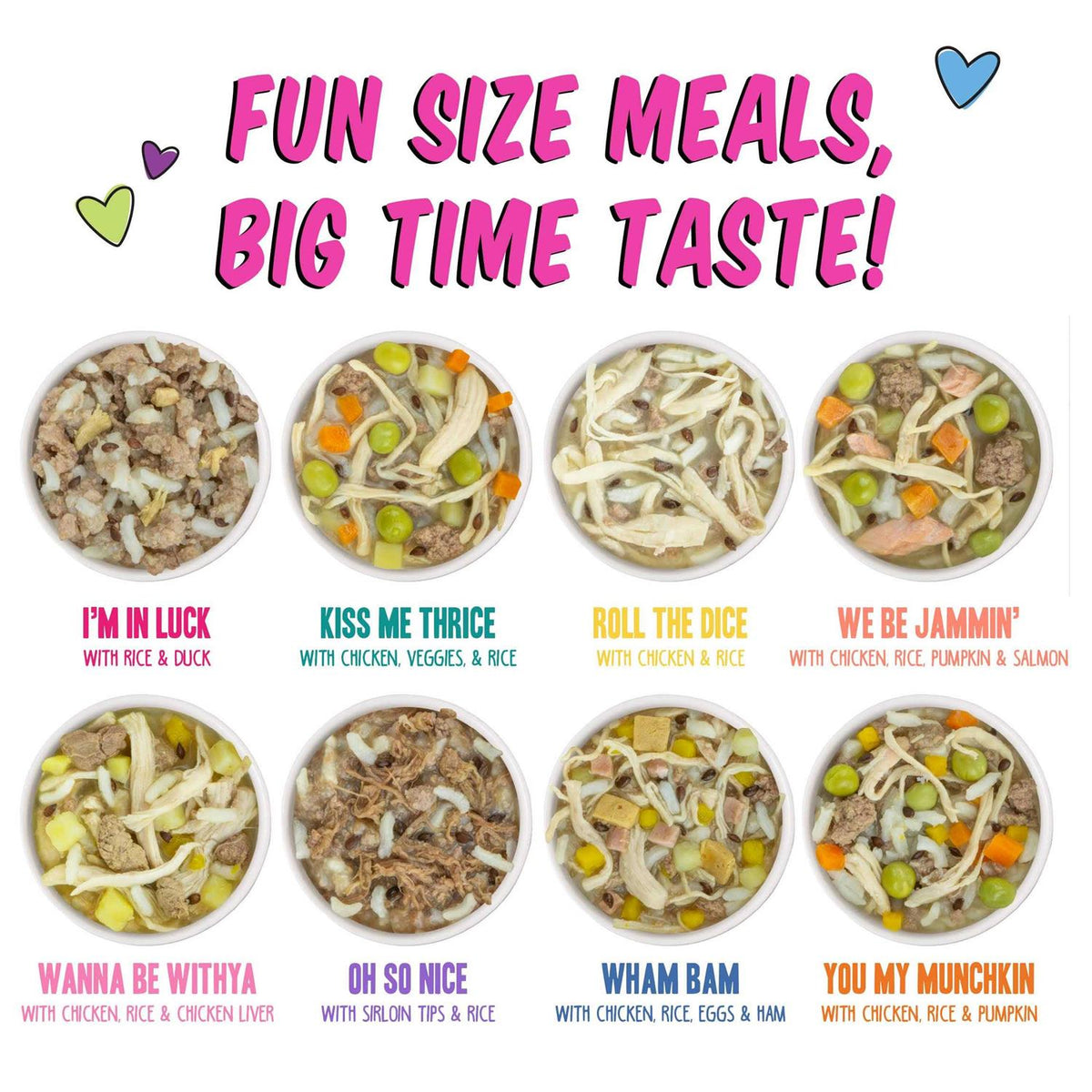 Wet Dog Food Variety Pack S884