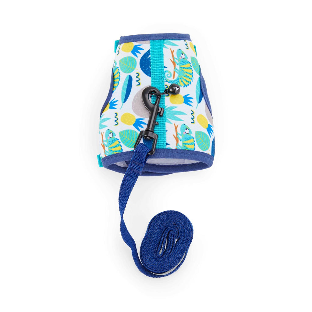 Ferret Harness and Leash X560