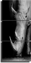 5 Piece Black Canvas Wall Art Safari Artwork Framed Ready to Hang Posters and Prints C3757