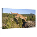 Mountain Lion Jumping Art Print B5575