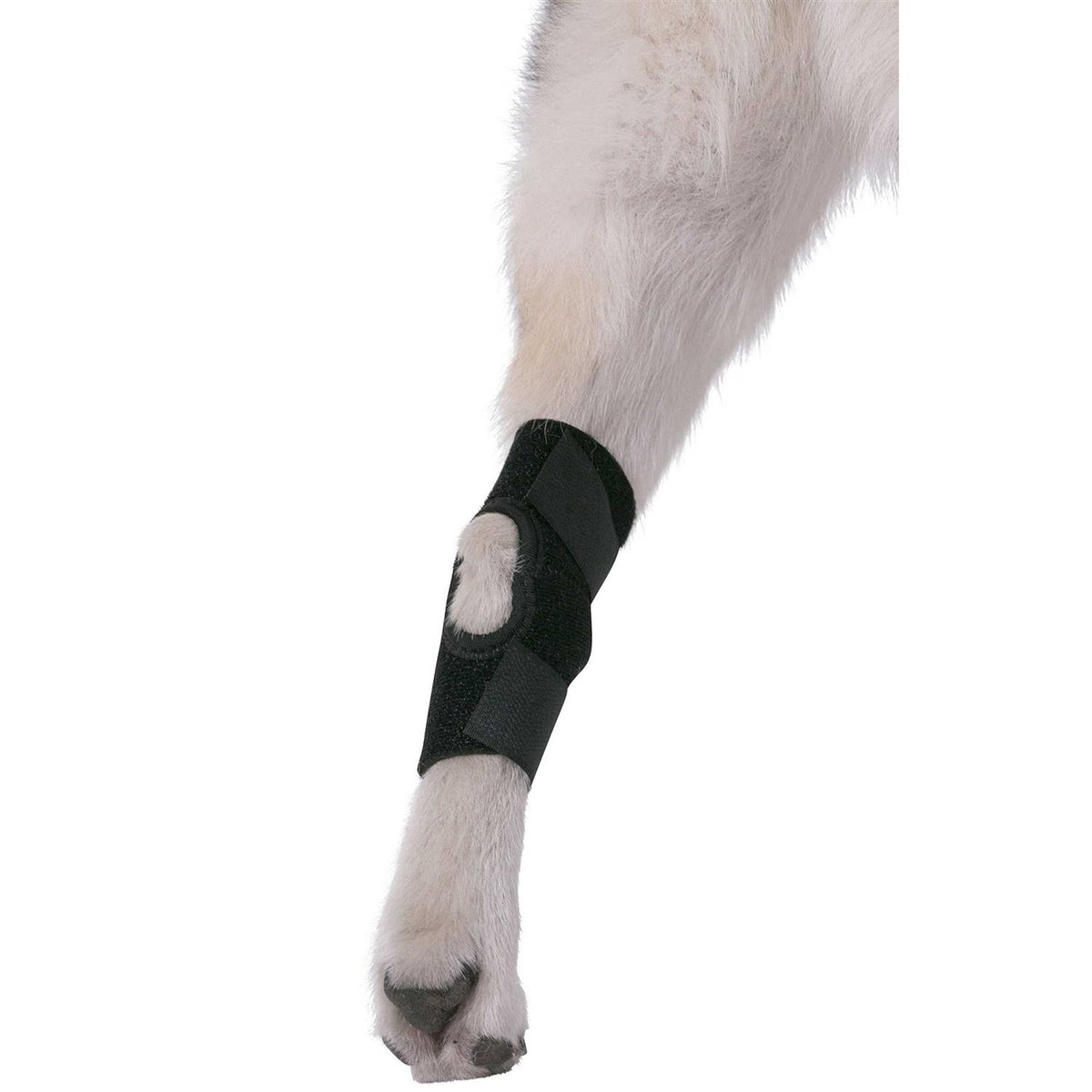Dog Rear Hock Joint Brace Compression Wrap With Straps W73371