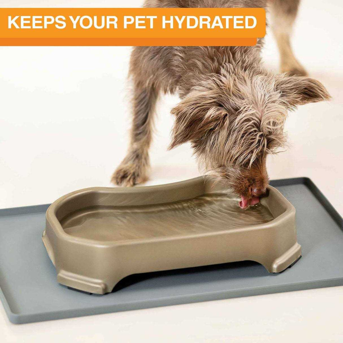 Jumbo Dog Water Bowl S488283
