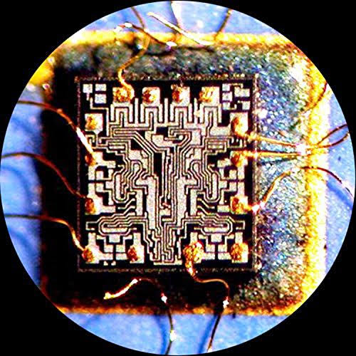 1.3MP USB Digital Microscope Camera M82051