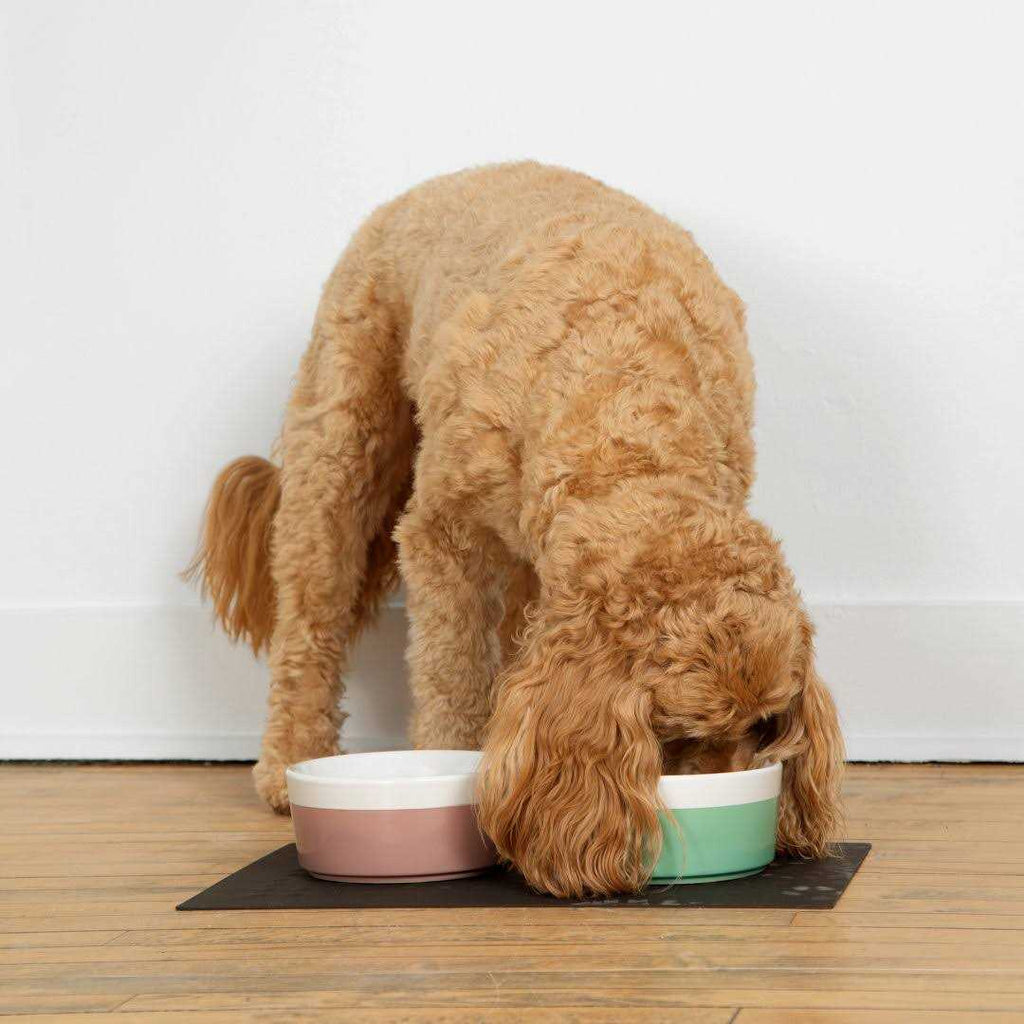 Dog Placemat L47962
