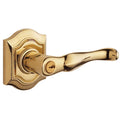 Entry Lever N673
