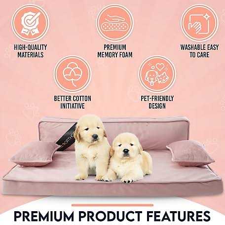Modern Pet Sofa Bed B325