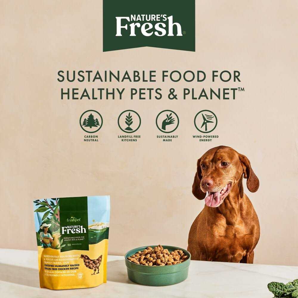 Grain Free Turkey Recipe Dog Food H72474