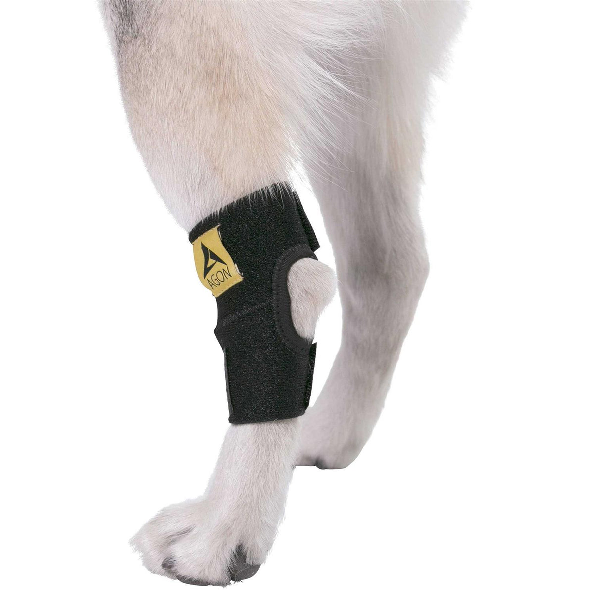 Dog Rear Hock Joint Brace Compression Wrap With Straps W73371