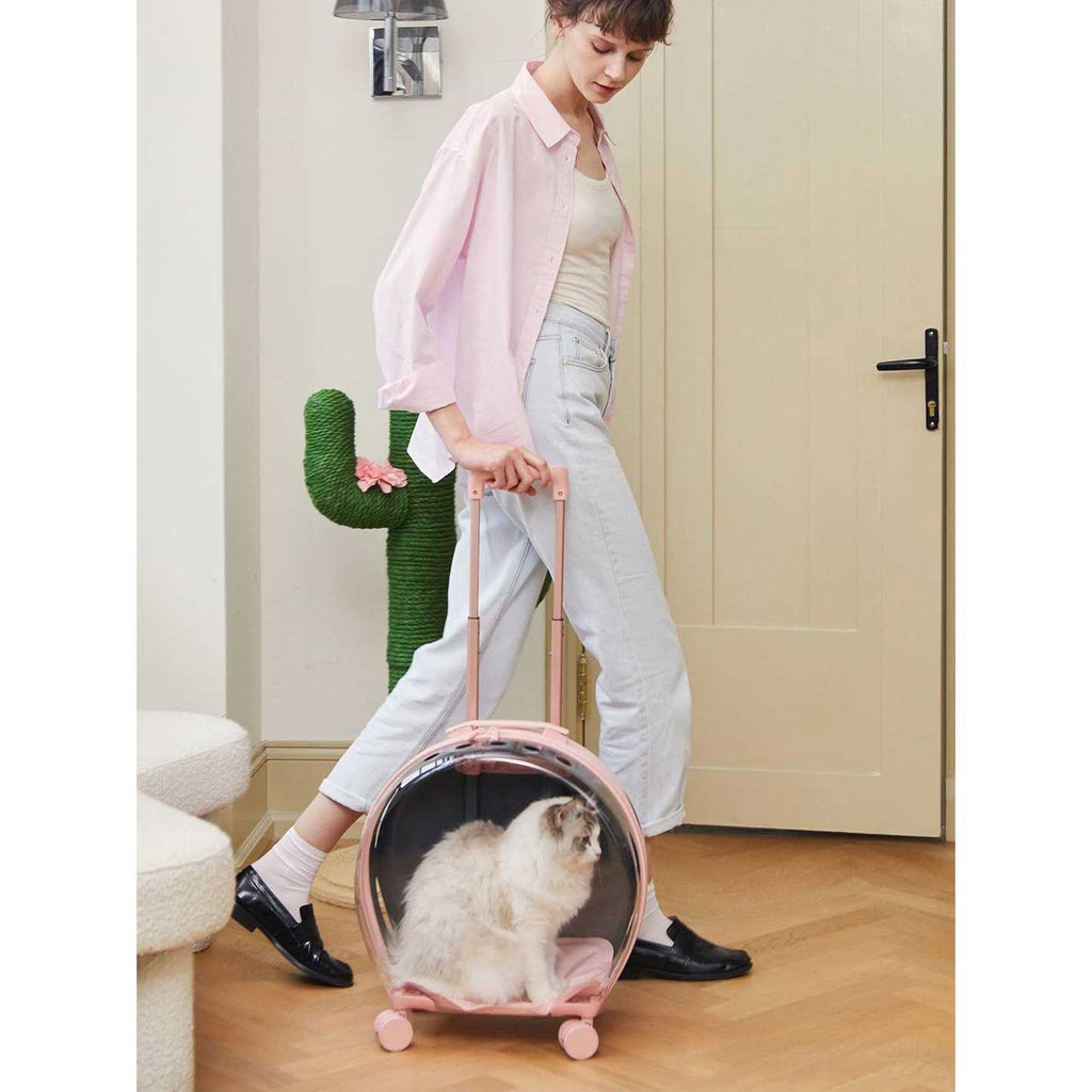Dog & Cat Carrier J770