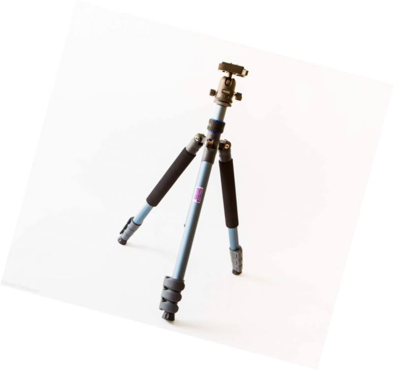 Pro Tripod F266036