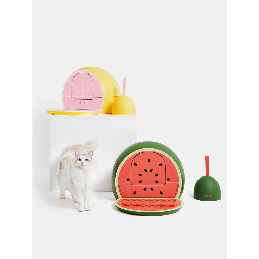 Kitty Kove N53994