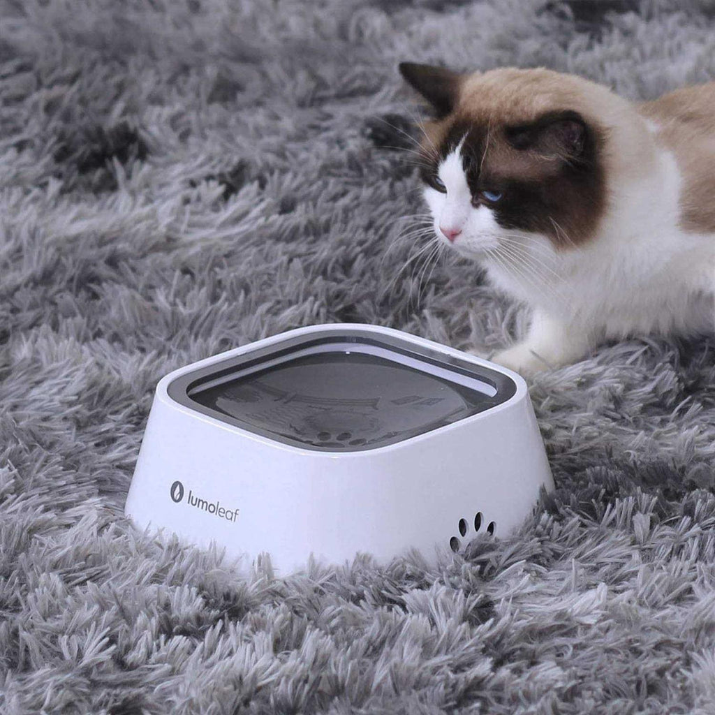 Dog Water Bowl Slow Feeder Bowl No Spill S4027