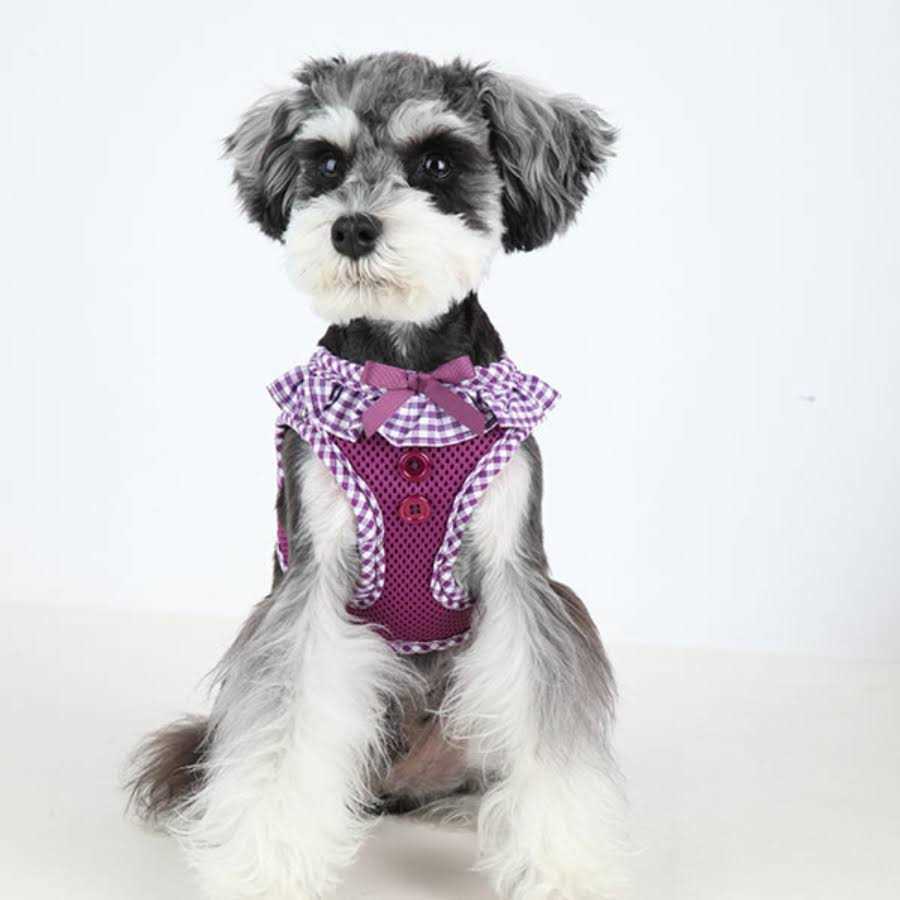 Harness S89916