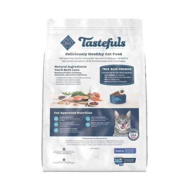 Adult Dry Cat Food Brown Rice P290