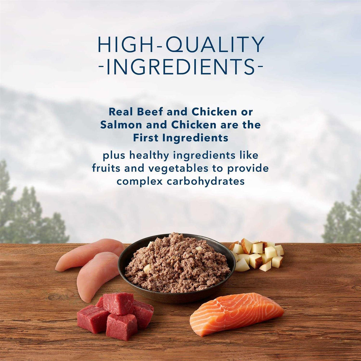 High Protein Beef & Salmon Adult Wet Dog Food Variety Pack Grain-Free W4497