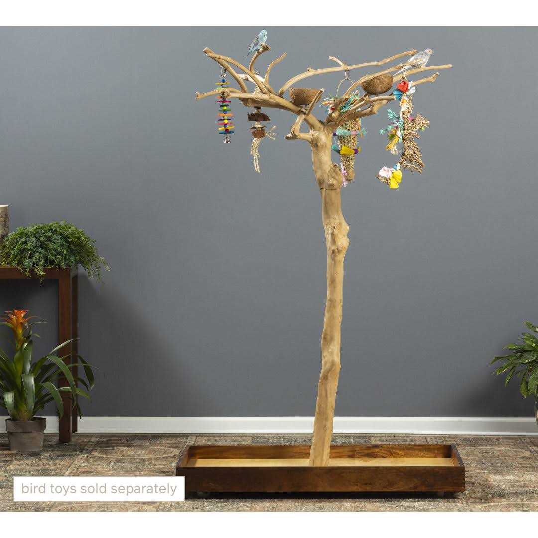 Coffeawood Tree Floor Stand Q2823
