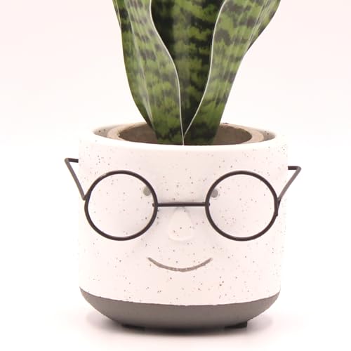 Green 4 inch Face Planter Pot with Drainage Y559