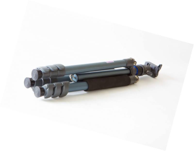 Pro Tripod F266036