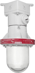 Explosionproof Incandescent Ceiling 4 Hubs 3/4 inch W6005