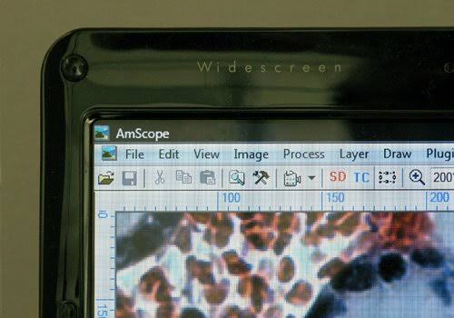 1.3MP USB Digital Microscope Camera M82051