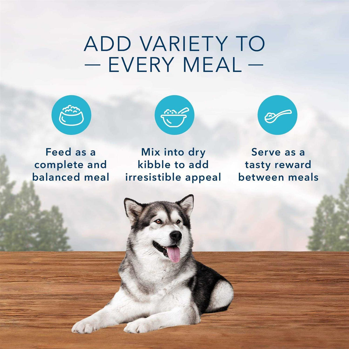 High Protein Beef & Salmon Adult Wet Dog Food Variety Pack Grain-Free W4497