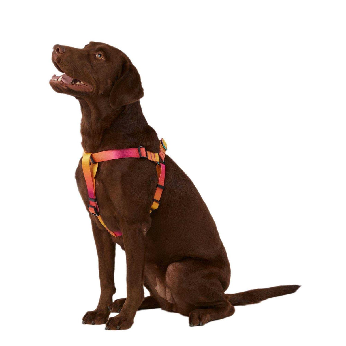 Dog Harness E7141