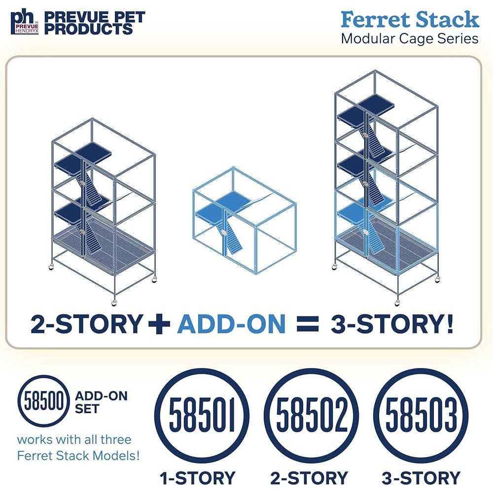 Ferret Two Story Home L340998