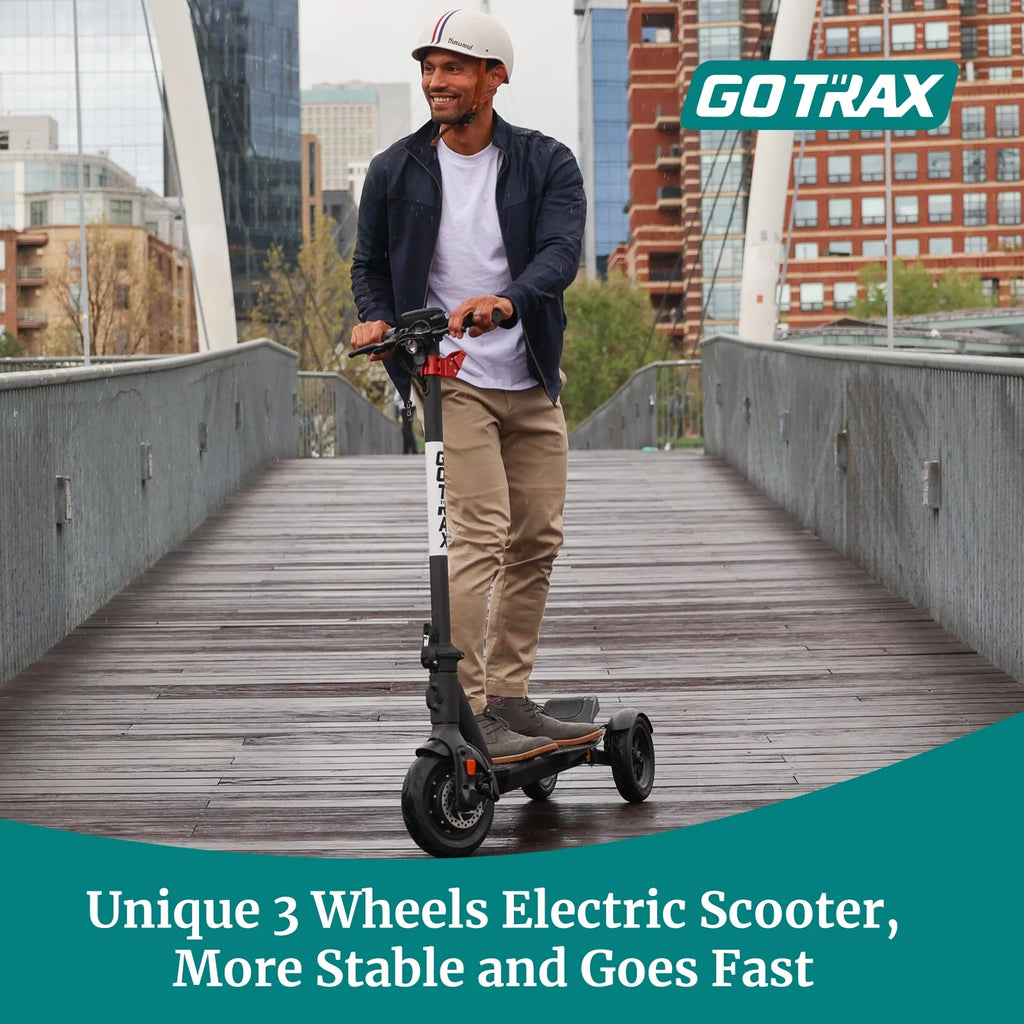 3 Wheels Folding Electric Scooter C306