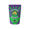 Gecko Diet Insects D10667