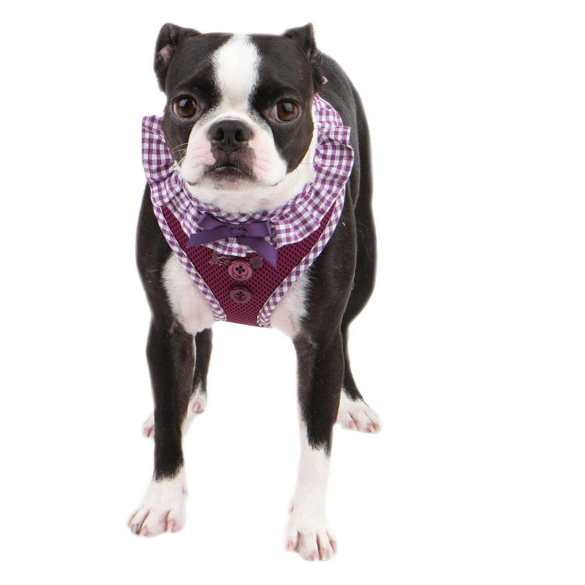 Harness S89916